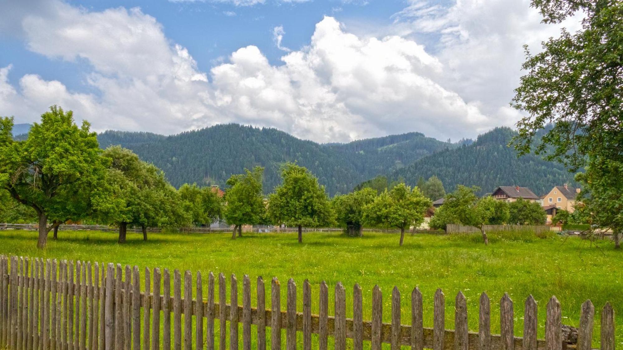 Appartement Flat Bull Mit Garten Sankt Lorenzen bei Knittelfeld